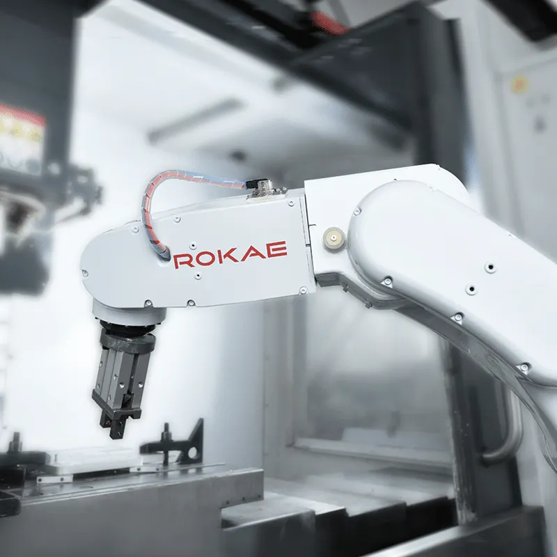 ROKAE XB4 — view 6